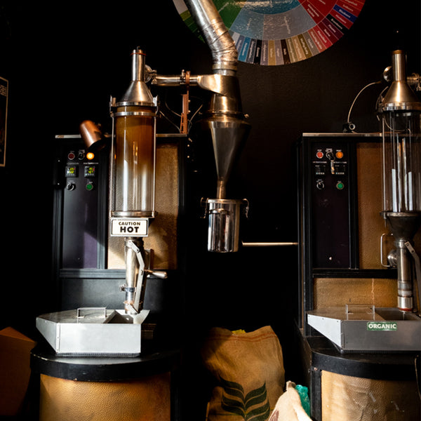 TRC USA x Black Dog Coffee Roasters Coffee Bean El Salvador