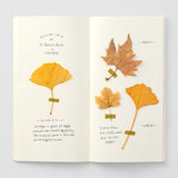 025 MD Paper Cream
